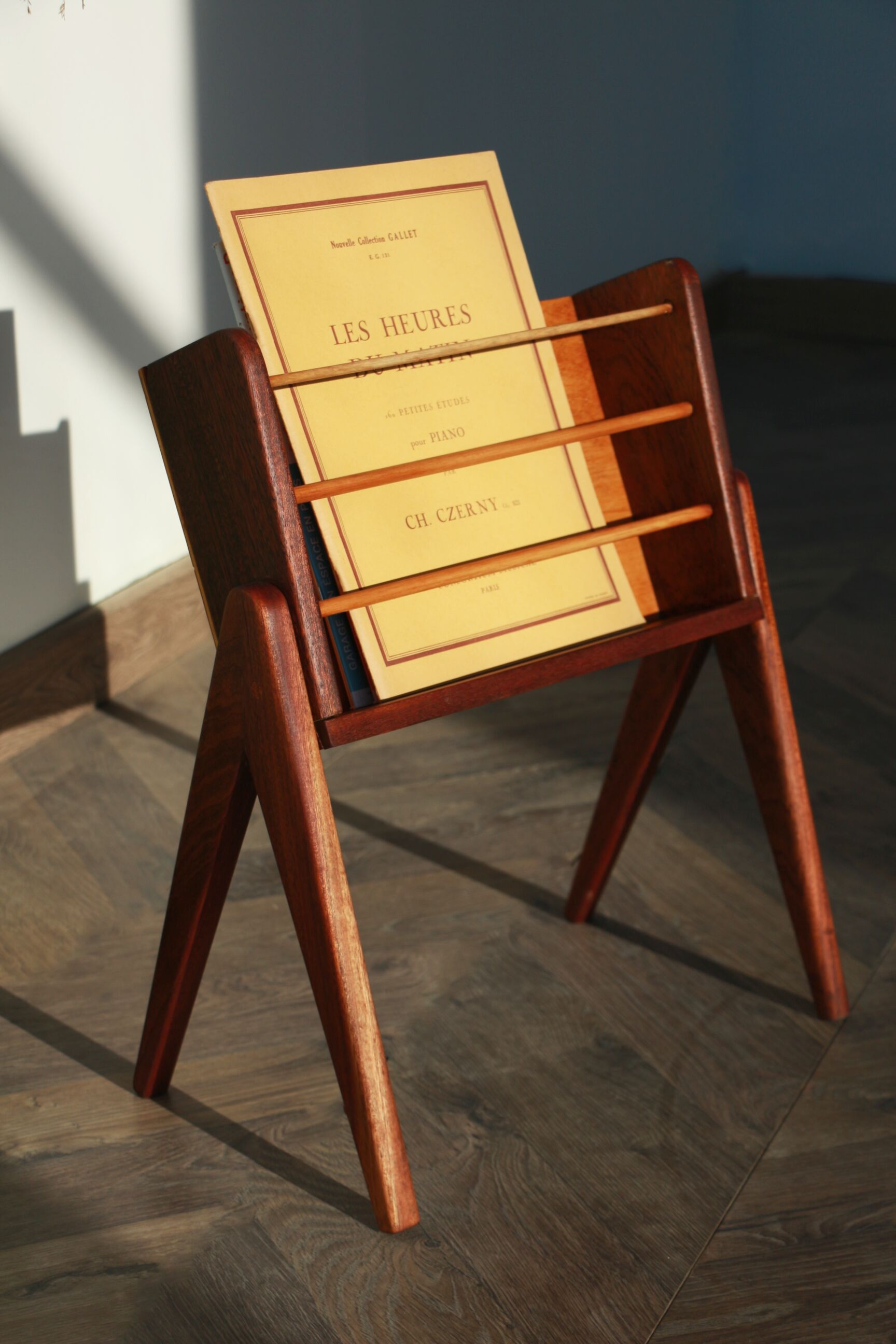 Vintage Teak Magazine Door
