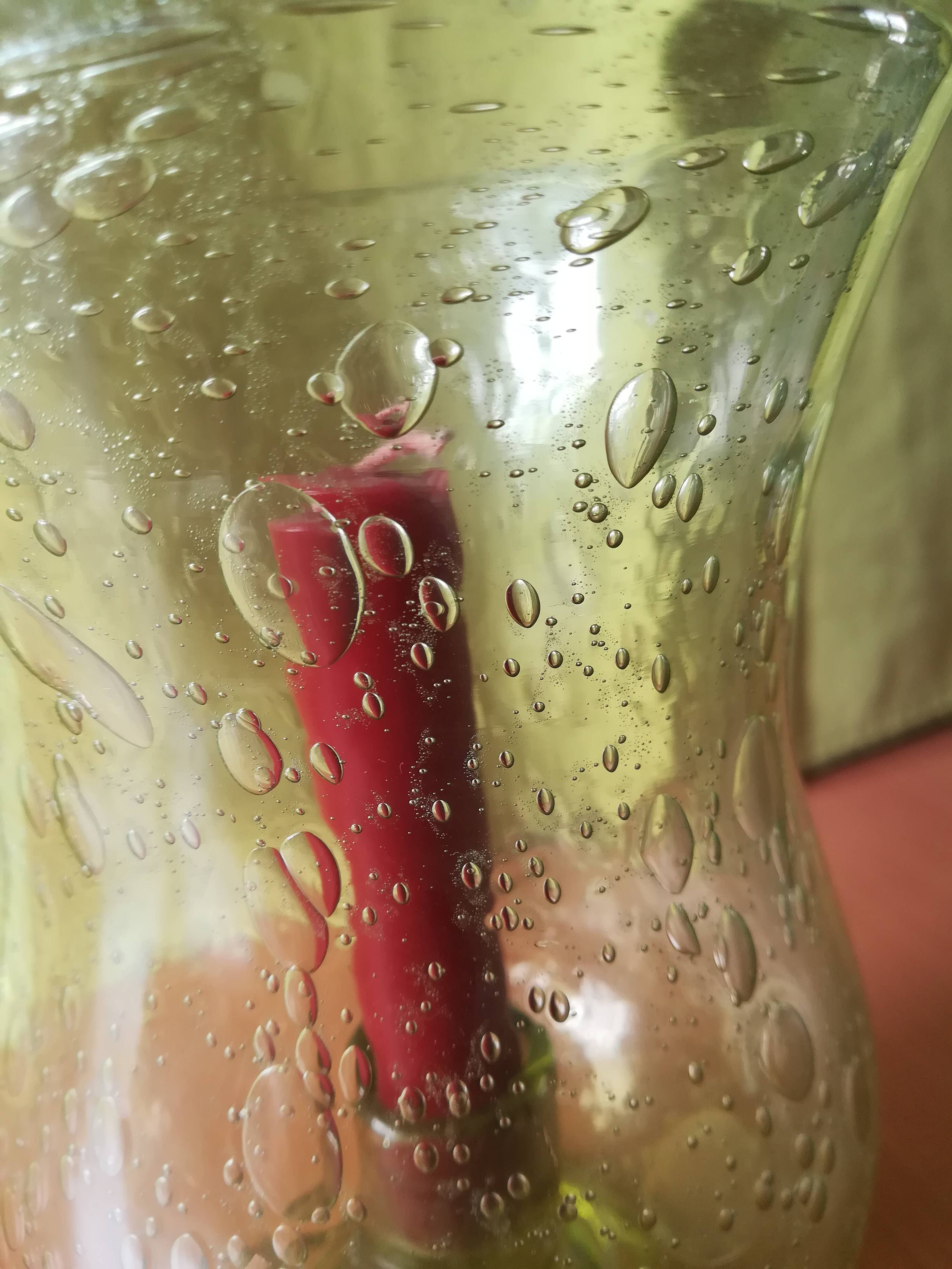 Garden candle holder, biot tealight holder