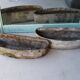 Pair of fibrecement bean-shaped planters