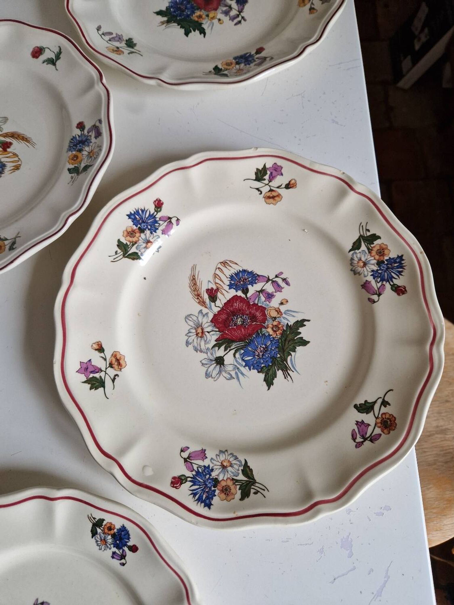 Set of 12 Sarreguemines Plates, Agreste Models