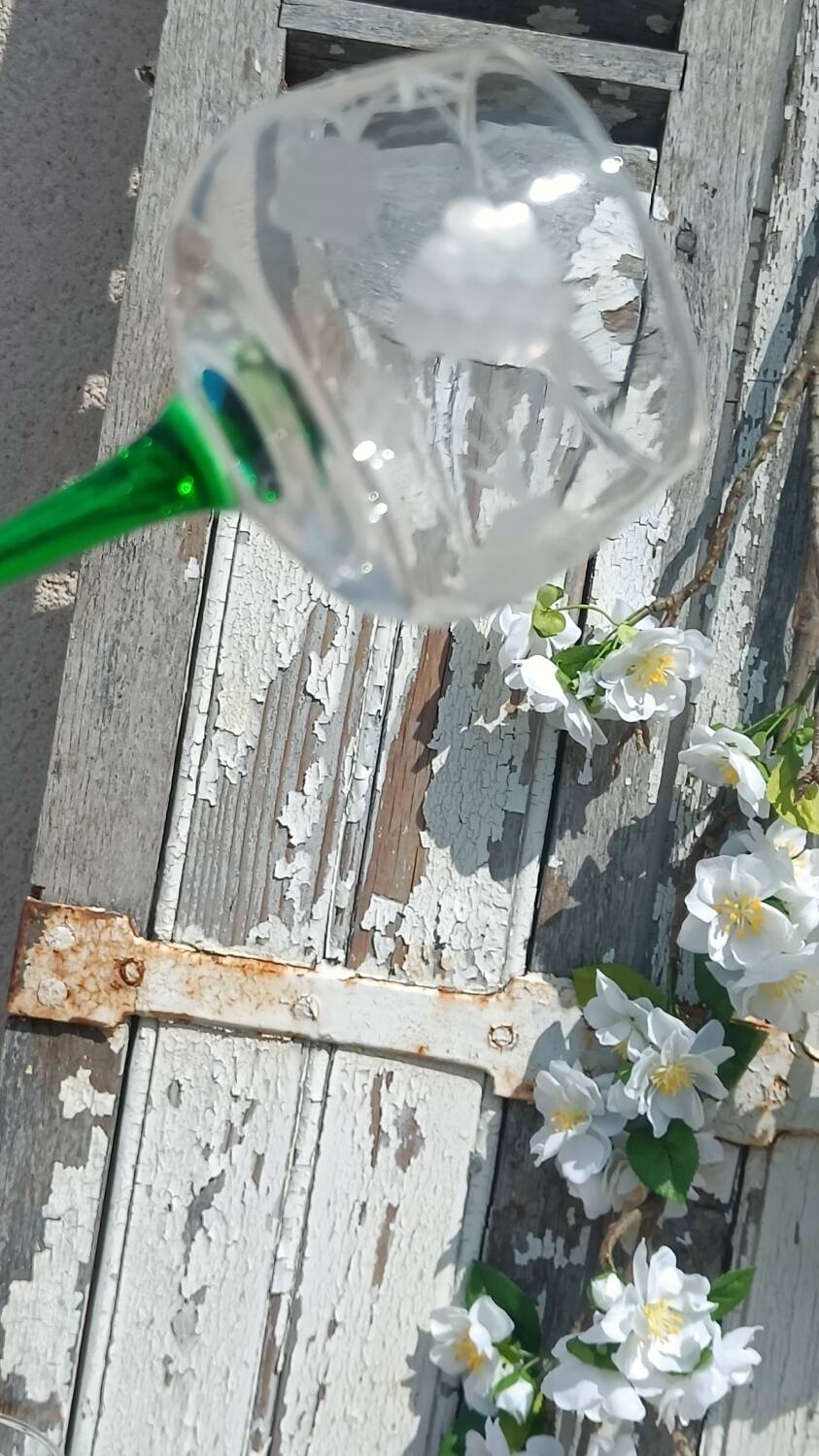 Antique engraved glasses