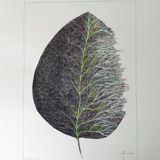 the breath of life