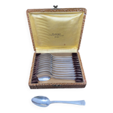 Dessert spoon set