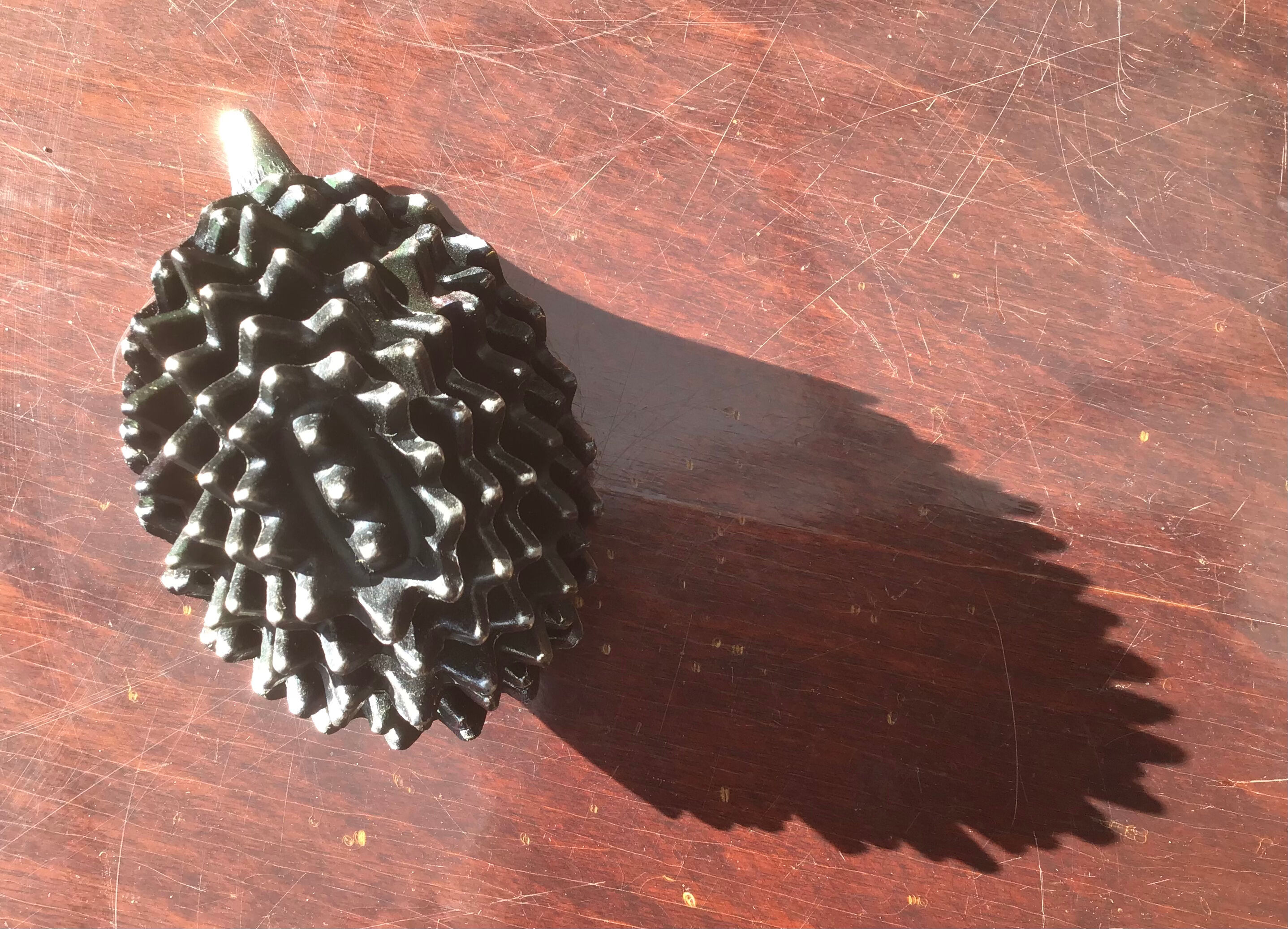 Family of 6 hedgehogs to adopt after Walter Bosse