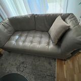 Two sofas Cuir Roche Bobois Gray