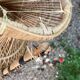 Set of 3 vintage rattan armchairs