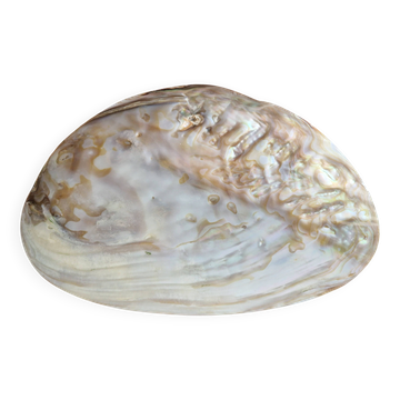 Vide poches moule perliere nacrée