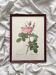 Framed lithograph of roses by Pierre Joseph Redouté, vintage botanical poster