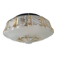 Ceiling light