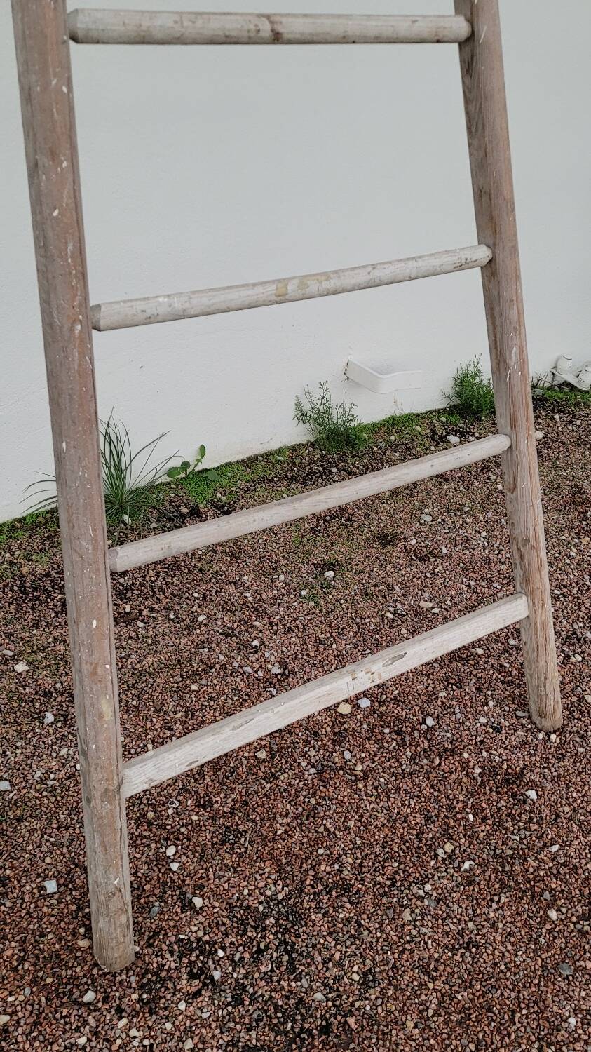 Old wooden fruit harvest market gardener's ladder - 3m65