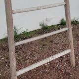 Échelle de maraîcher récolte fruitière en bois ancien -3m65