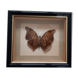 Butterfly frame