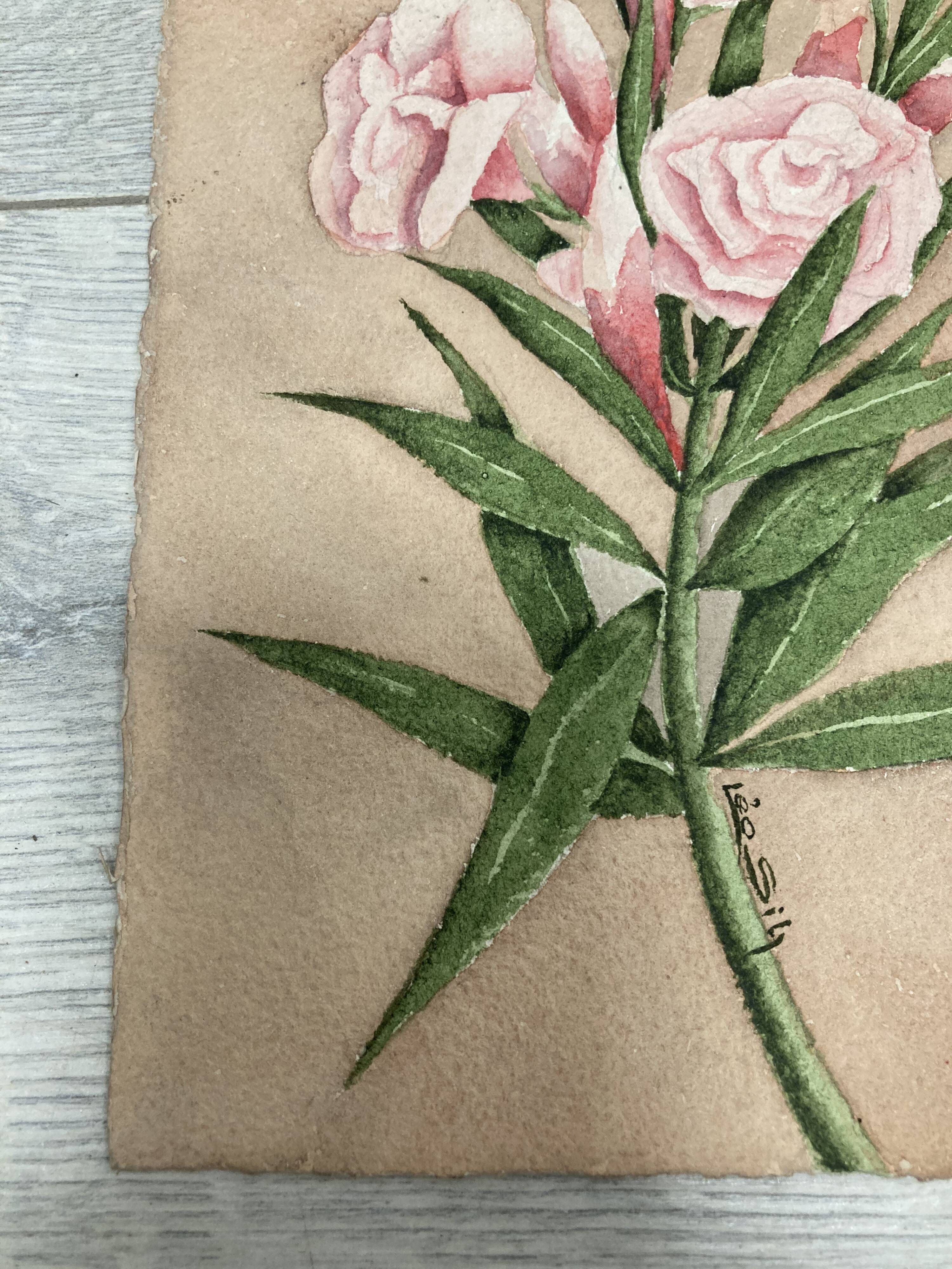 Signed watercolor with oleander flowers