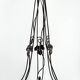 Wrought iron chandelier, tulips / pressed-molded glass bowl, Art Deco, 1930
