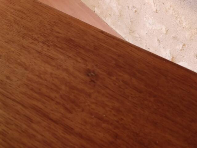 Dining table or desk sam demi-siècle edition 50s solid wood