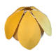 Hanging beige and yellow petals
