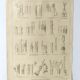 Antique print • Tree grafting • Original poster from 1922