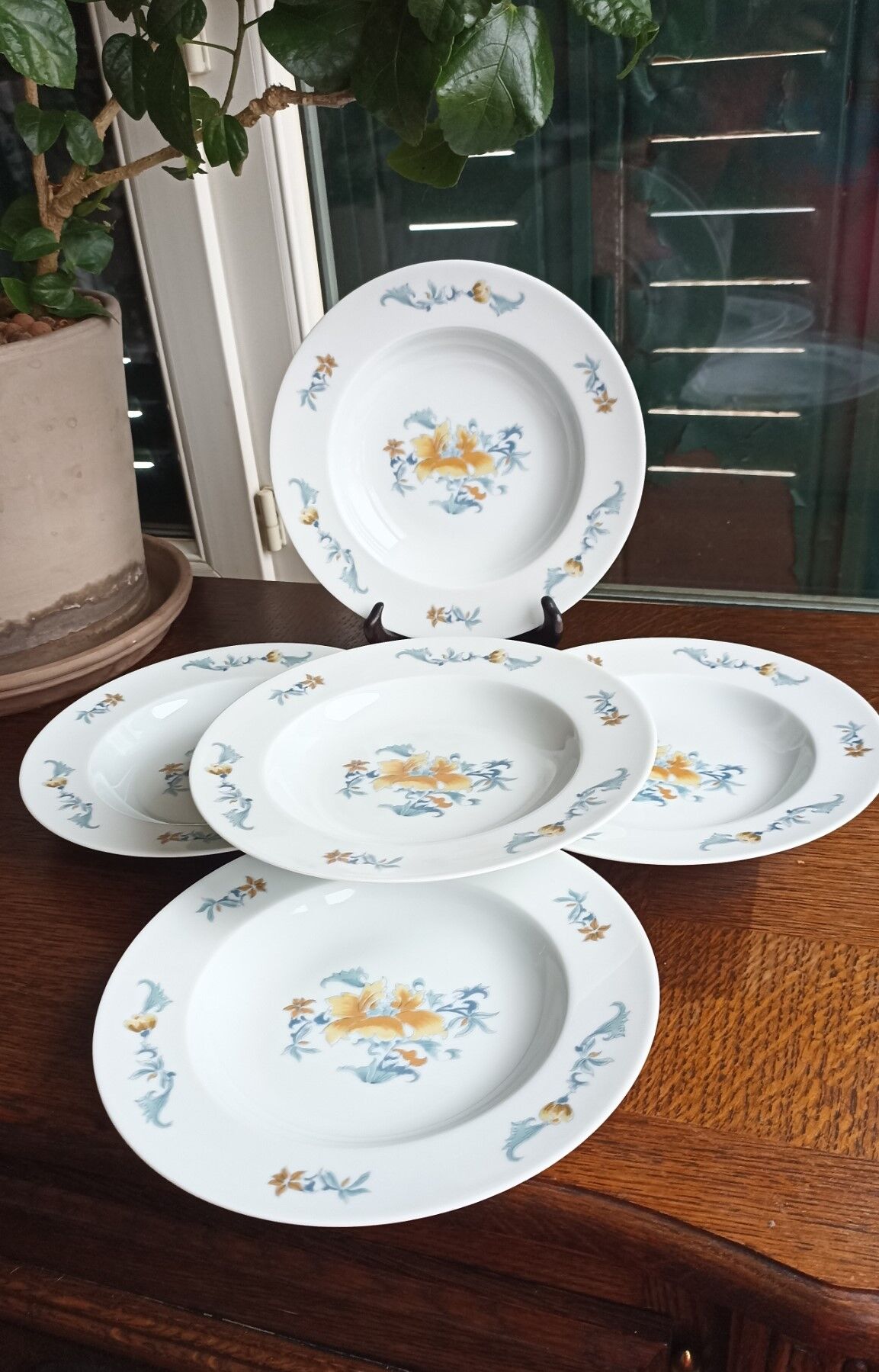 5 hollow plates in Limoges porcelain by Bernardaud - Lhasa Soap