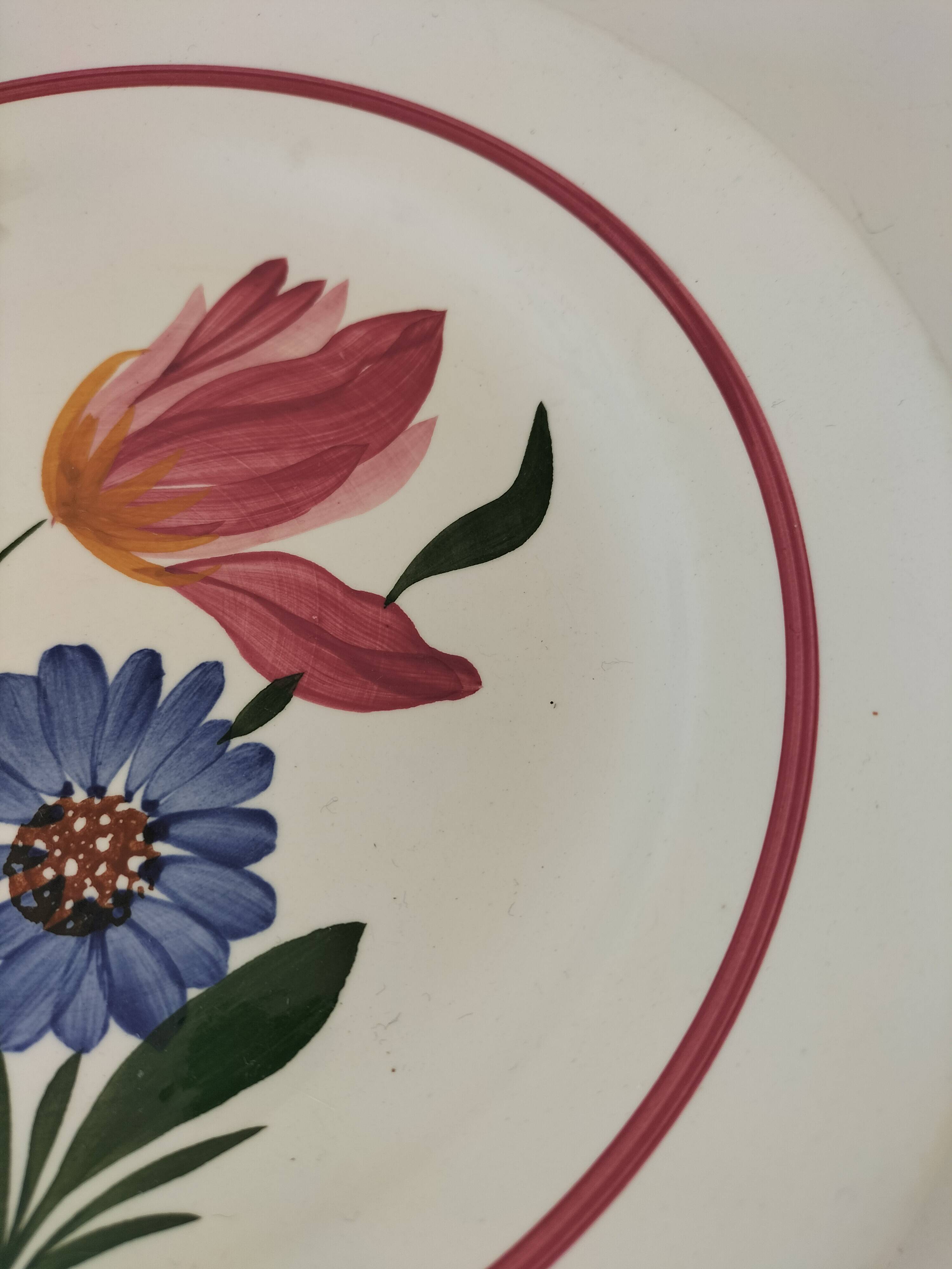 Sarreguemines ironstone plate, Selestat model