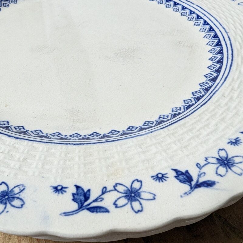 6 large plates Mintons England