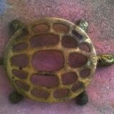 Turtle flat underside