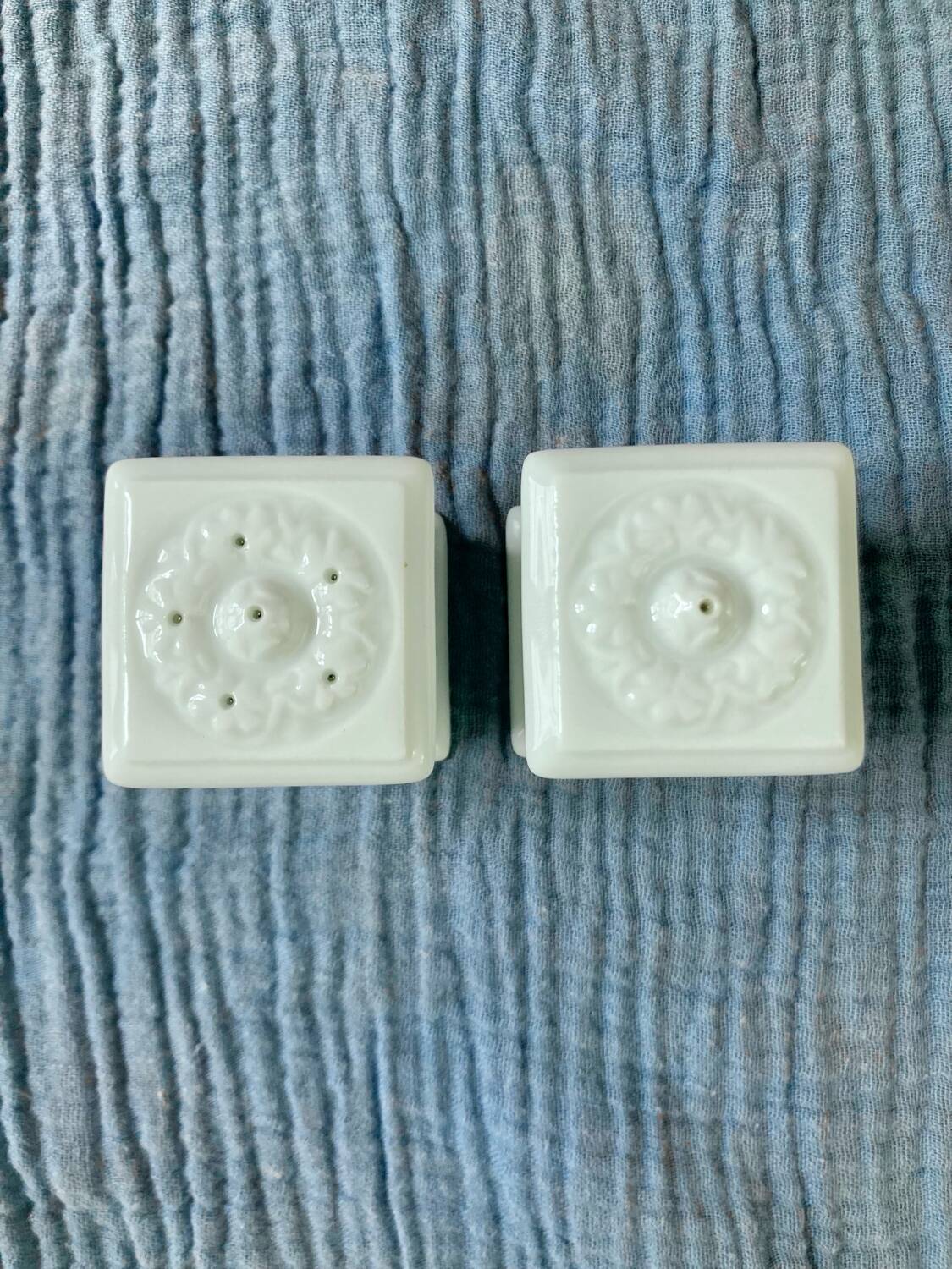 Bernardaud Limoges salt and pepper shakers