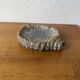 Shell-shaped ceramic glazed catchall