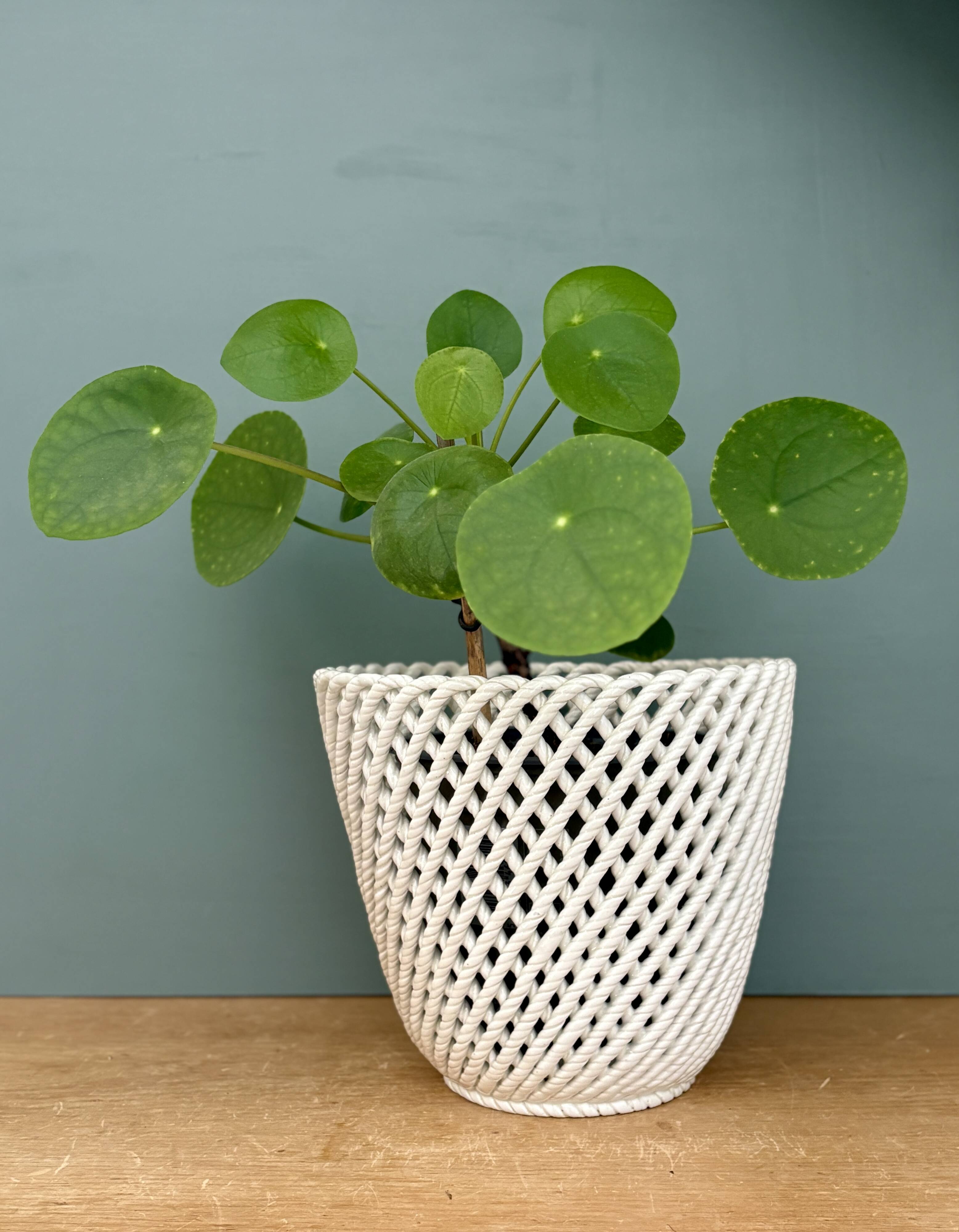 Vintage woven ceramic plant pot