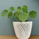 Vintage woven ceramic plant pot