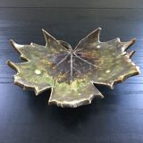 Empty pocket plane leaf