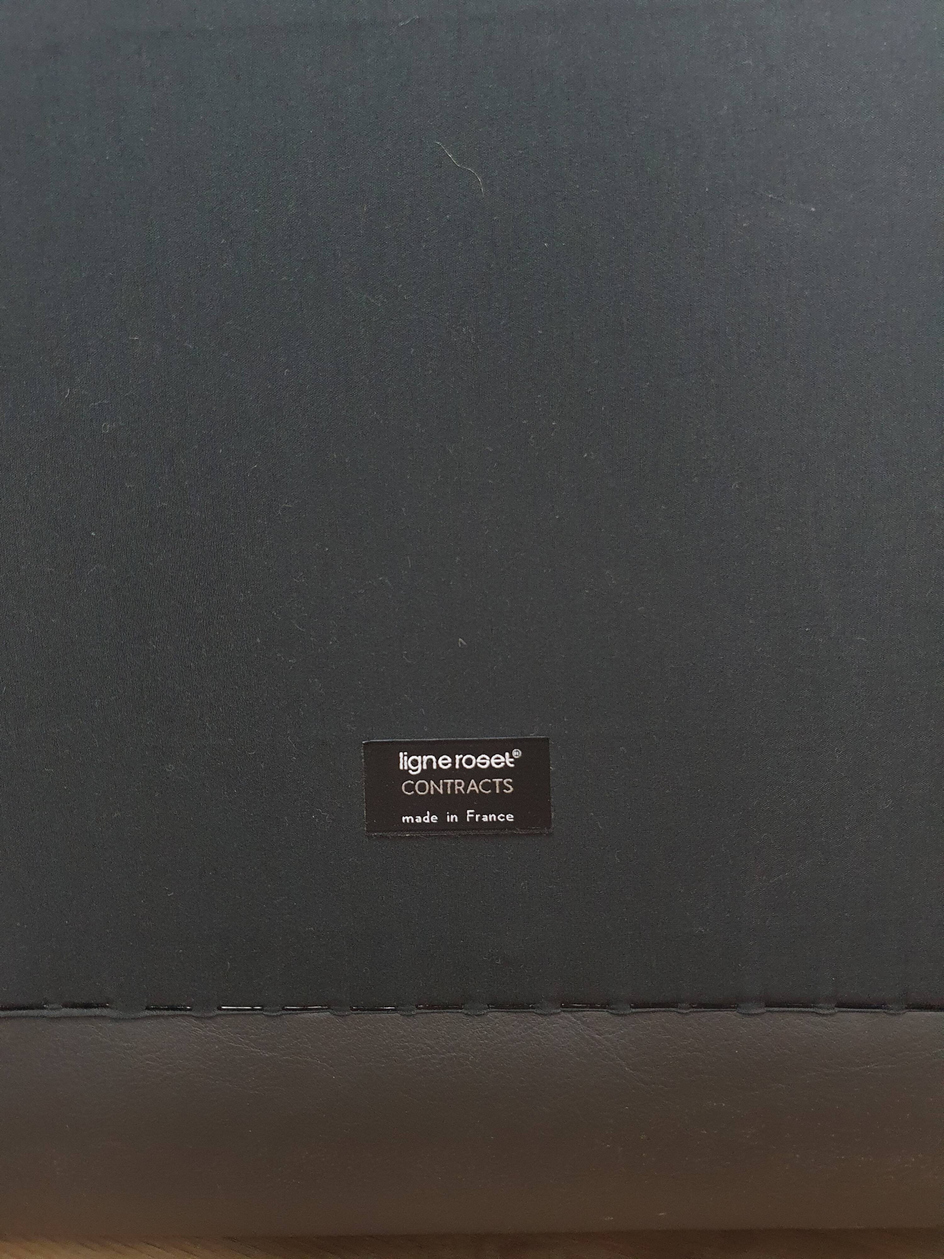 Tazia driver by Pascal Mourgue