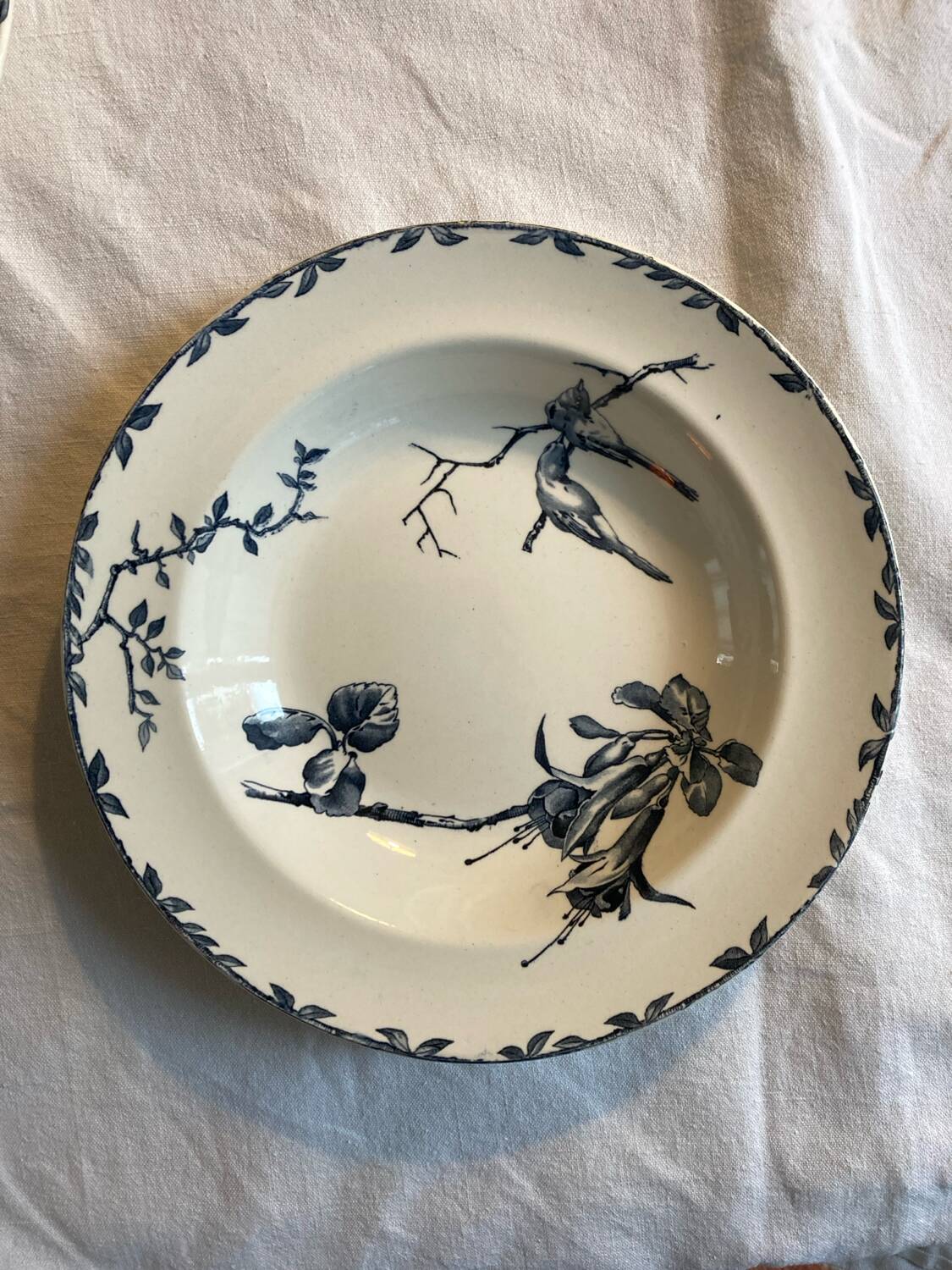 6 Spring Oxford ironstone soup plates