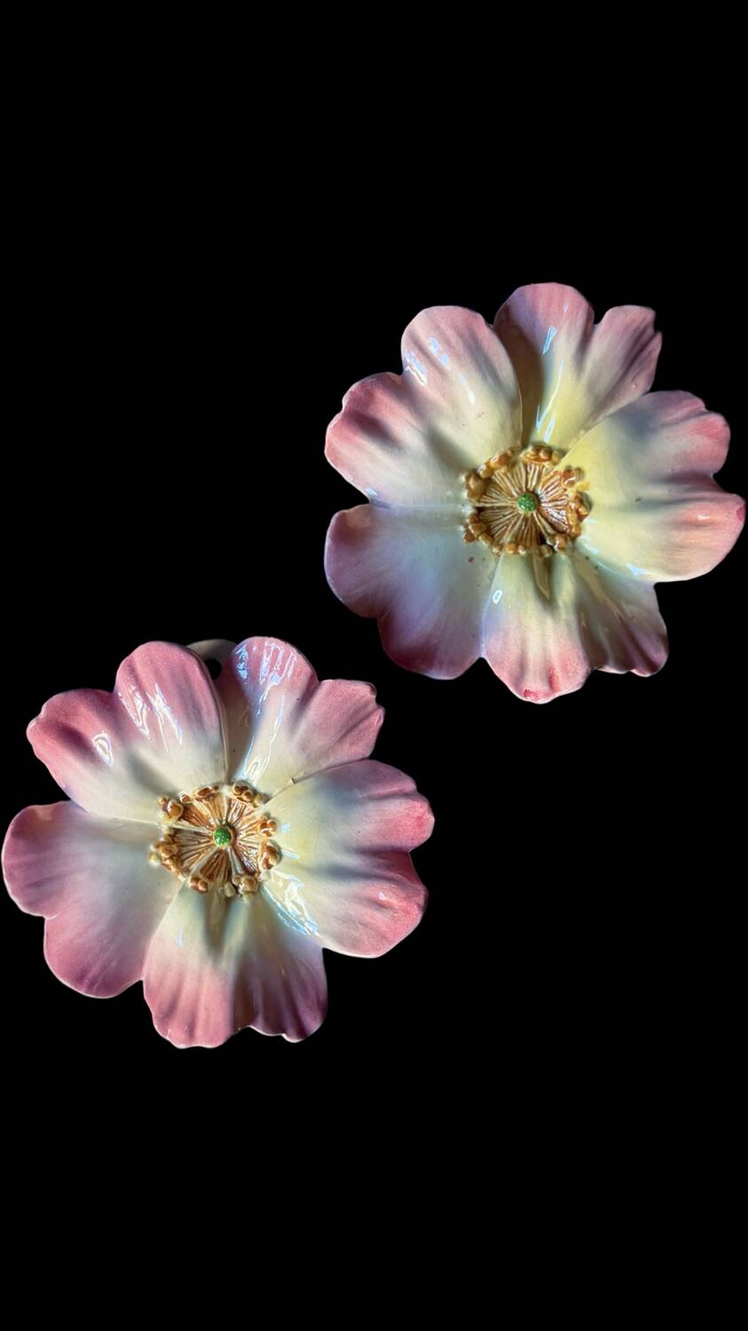 Pair of flower girls