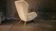 Rare year 50 Wing chair Bergère Chair of Ernst Max Jahn