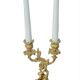 Chandelier Louis XV St Louis from the 19th century decorated with dolphins.
