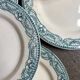 6 flat plates Salins in ironstone, "Directoire" service