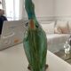 Duck carafe