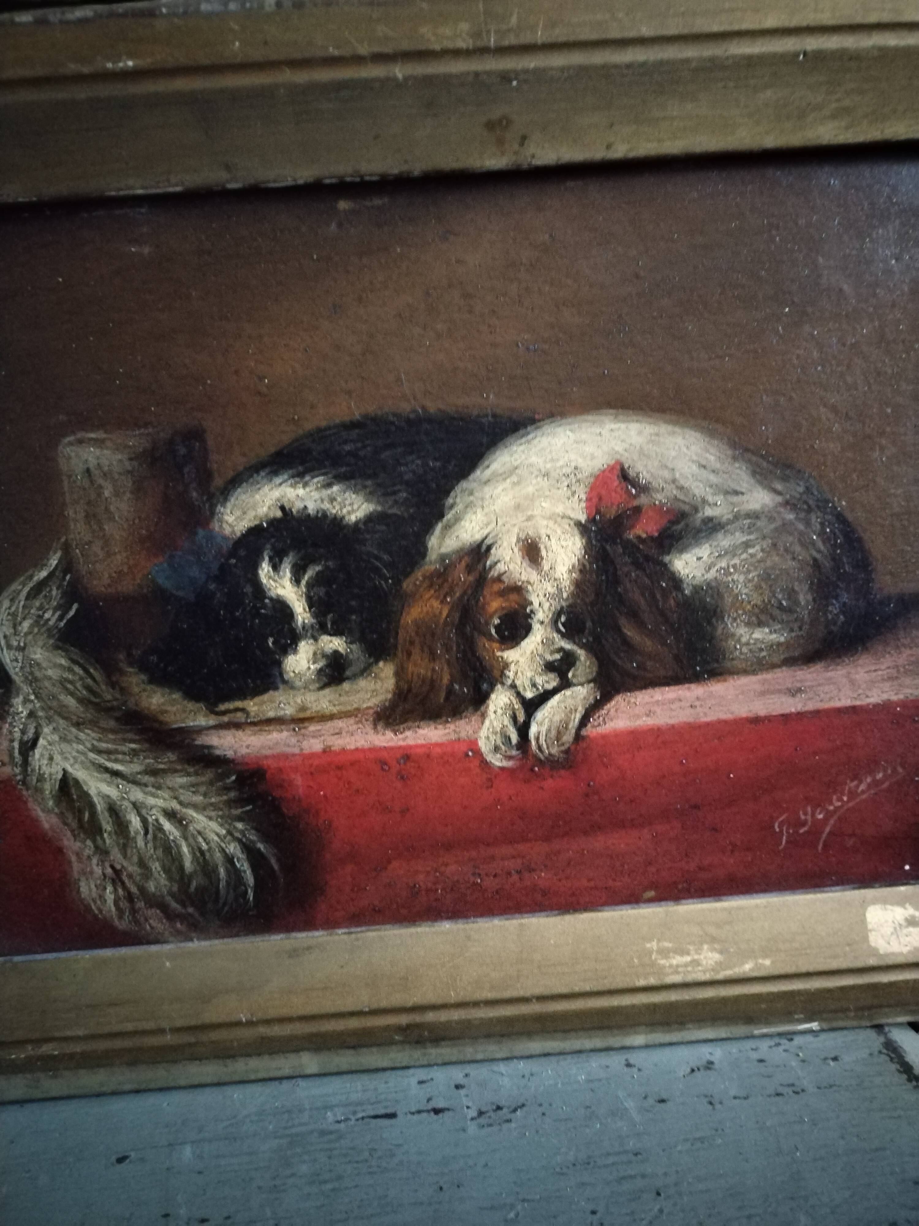 Oil dogs on wood 19th century signed