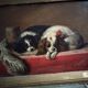 Oil dogs on wood 19th century signed