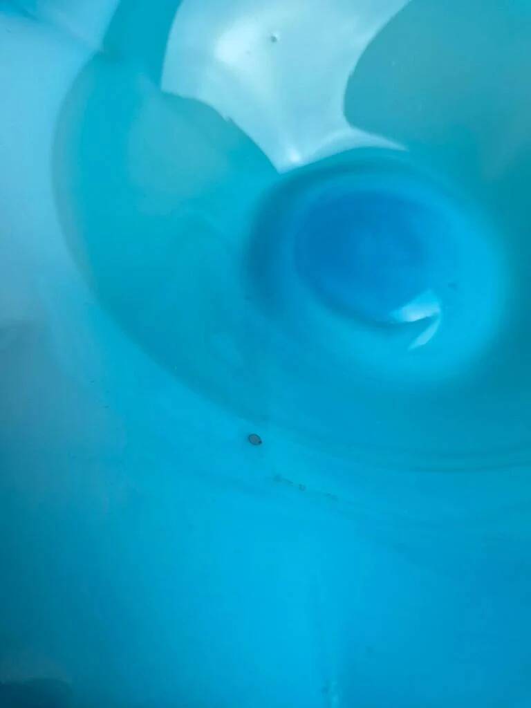 Large vintage blown glass bowl in turquoise – Murano style – applied flower