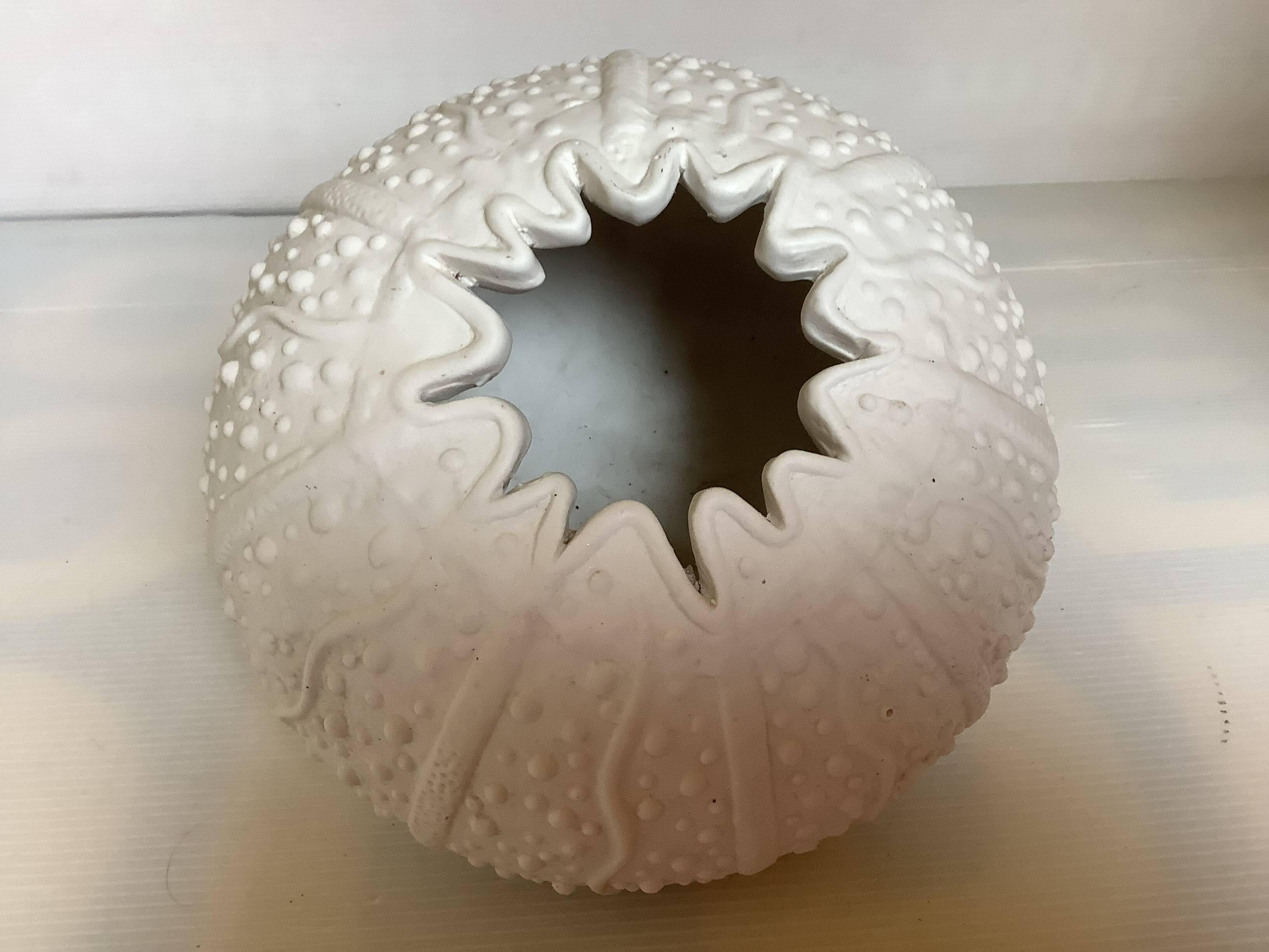 Vase en forme d oursin coquillage