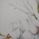 Flower board -White Lily- Illustration of medicinal plants