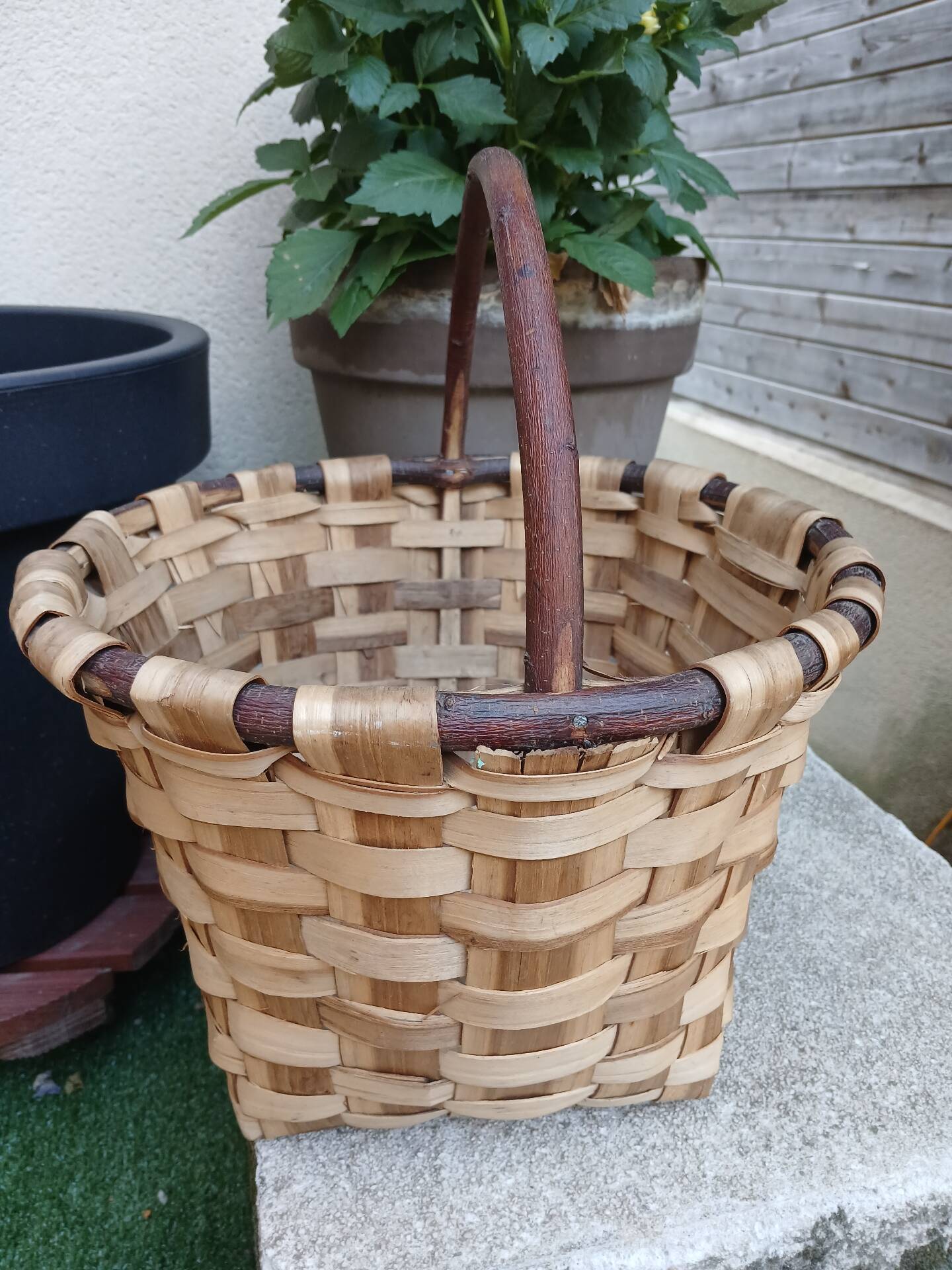 Panier ancien à champignons