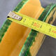 Olive decorative ceramic letter/napkin holder