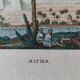 Datier framed botanical engraving by Turpin circa 1800