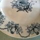 Ancient plate nests and birds