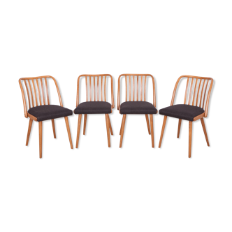 Chaises à manger par Antonin Suman pour Ton, années 1960, Ensemble de 4