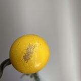 Vintage hook 2 balls in yellow wood