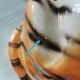 Ceramic tiger