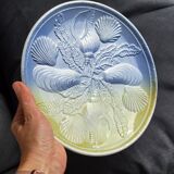 5 assiettes barbotine poissons coquillages Sarreguemines vintage